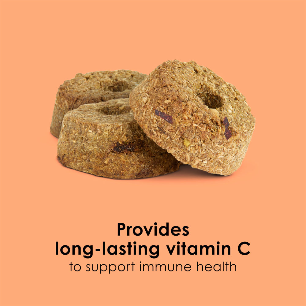 Kaytee Super C Bites detalle de vitamina C para inmunidad en mascotas pequeñas