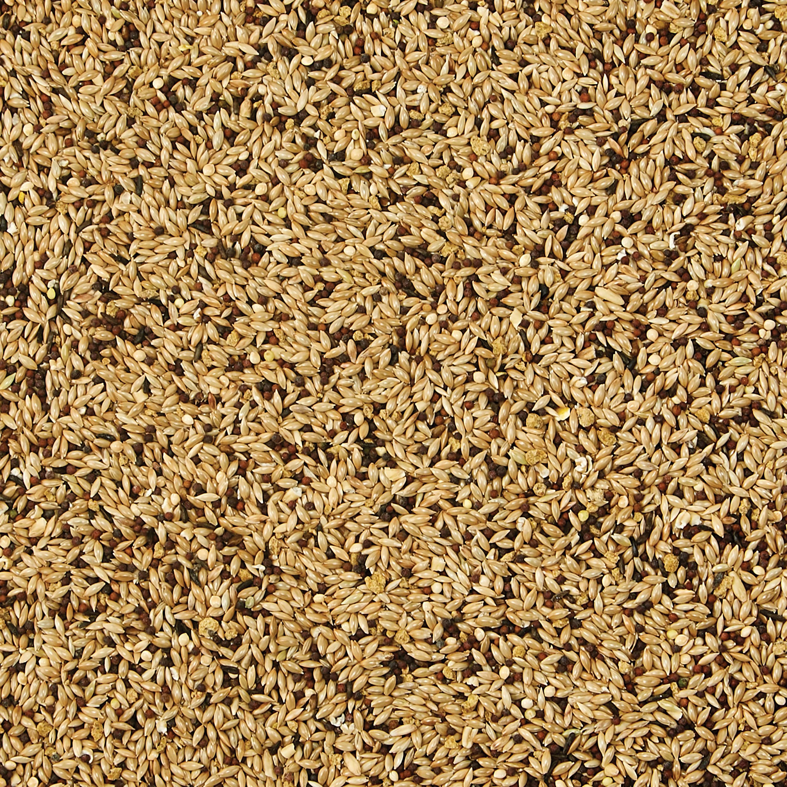 Kaytee Supreme Alimento para Canarios y Pinzones: granos frescos para energía diaria