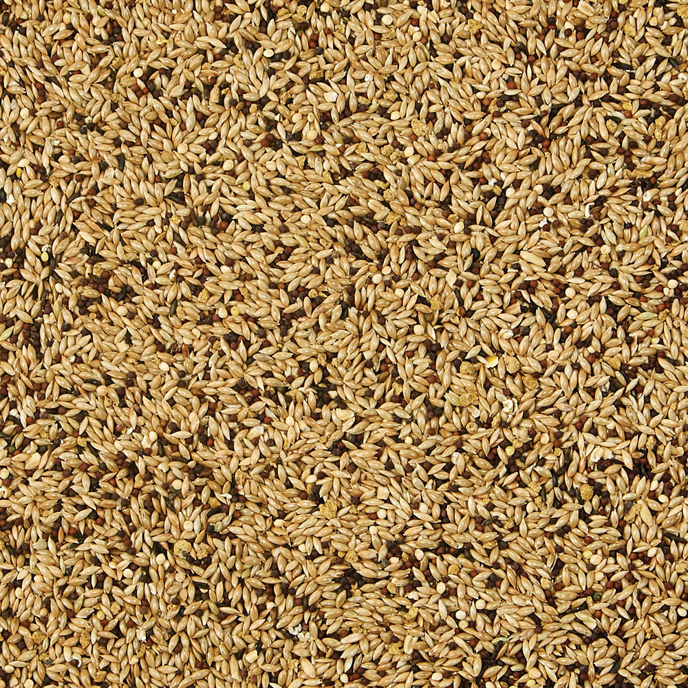 Kaytee Supreme Alimento para Canarios y Pinzones: granos frescos para energía diaria