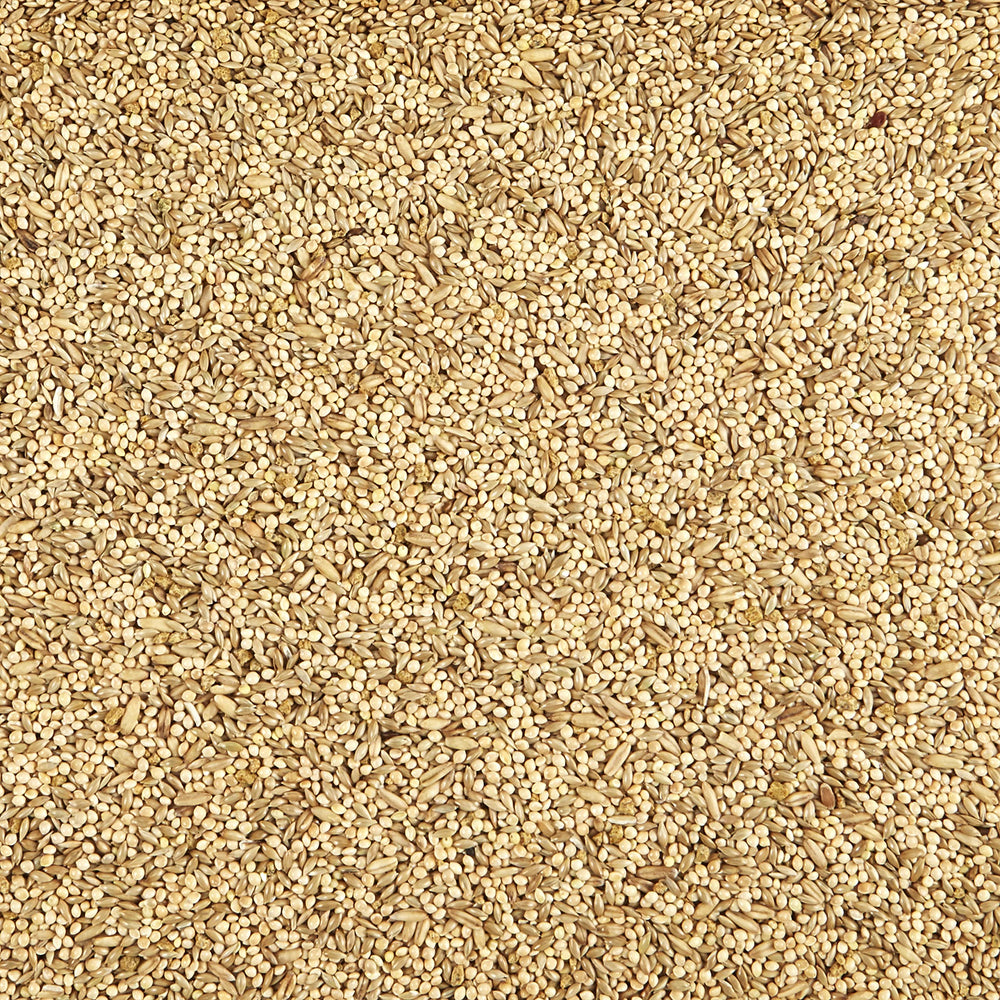 Kaytee Supreme para periquitos, bolsa destaca ingredientes naturales para una dieta completa y daily.