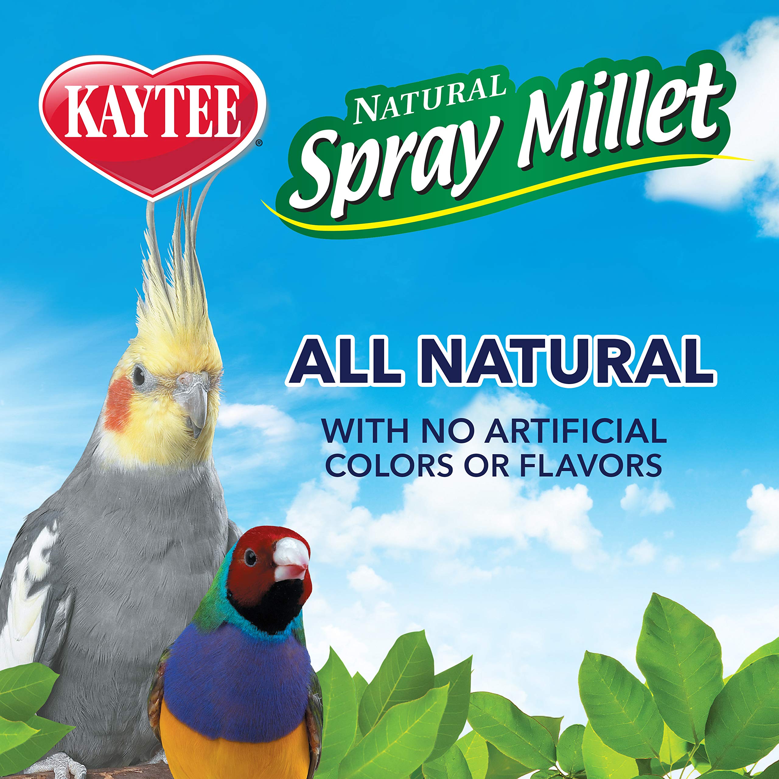 Kaytee mijo en aerosol para aves jóvenes y adultas, opción de nutrición variada.