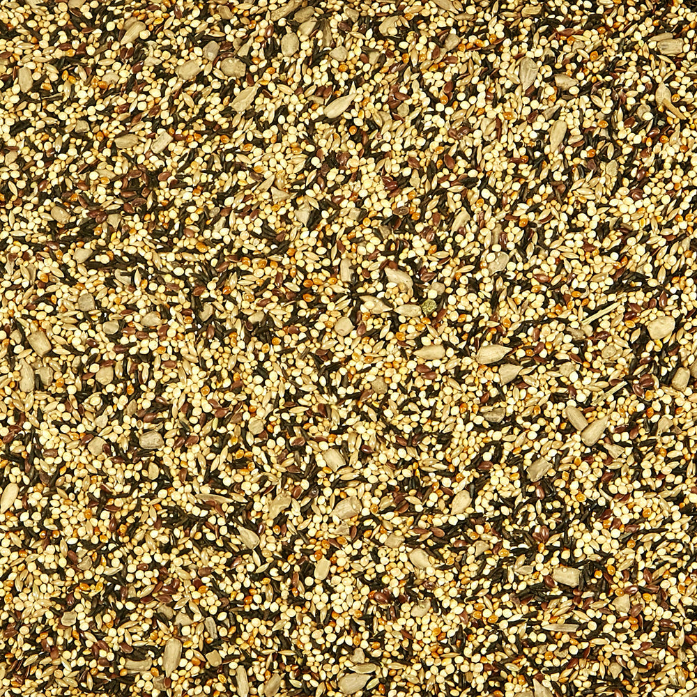 Kaytee Wild Finch Blend: mezcla de semillas pequeñas ideal para pinzones.