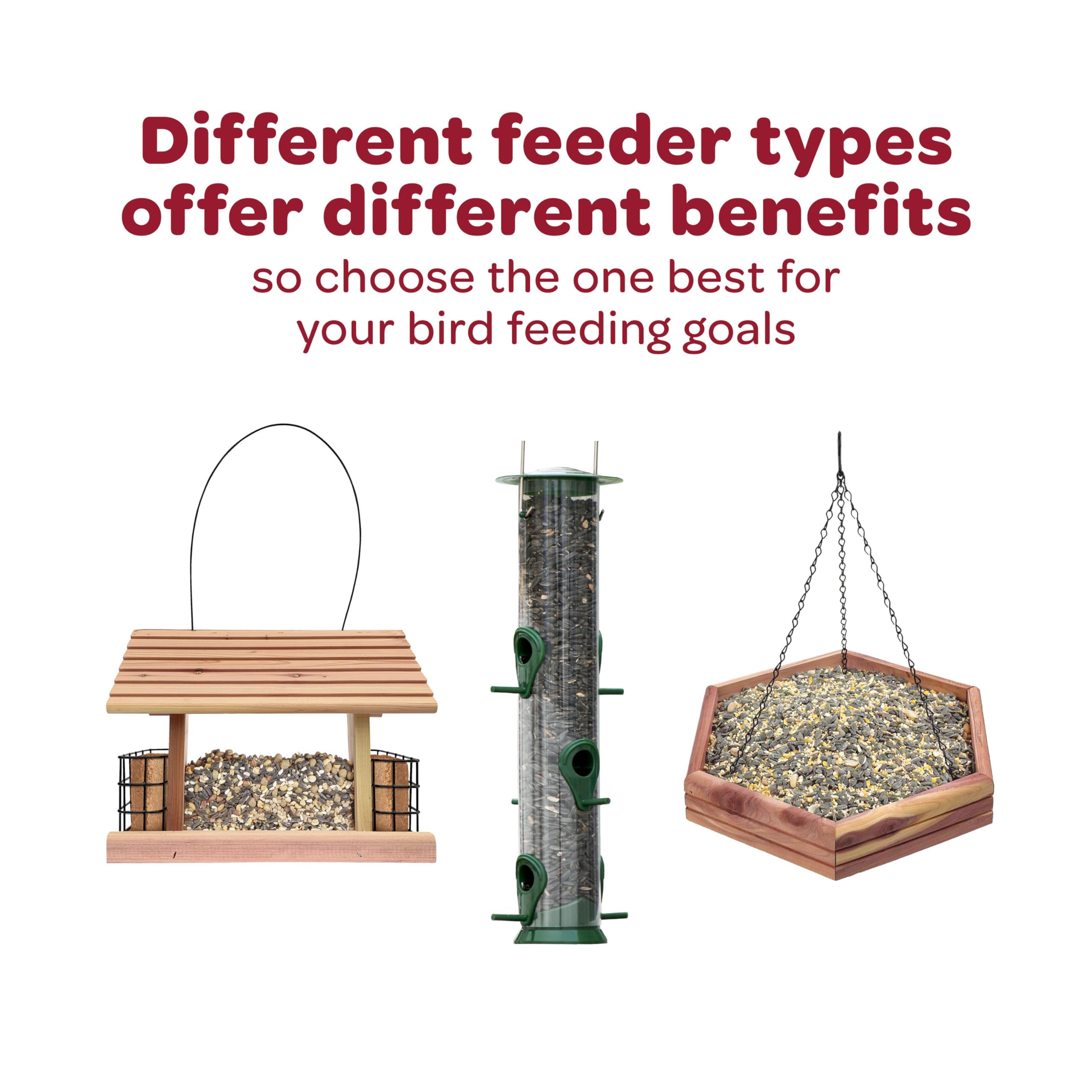 Kaytee Wild Finch Blend: mezcla de mijo, nyjer y canario para variedad nutritiva.