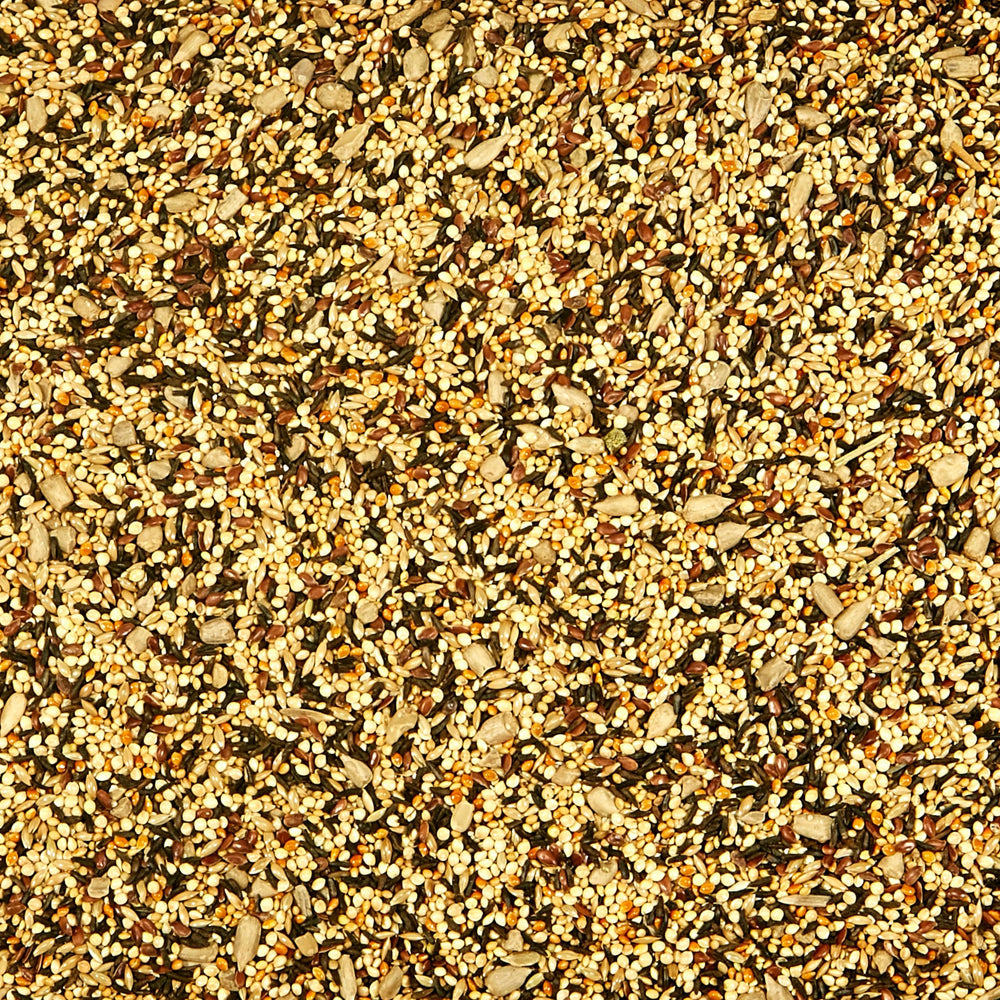 Granos pequeños de Kaytee Wild Finch aptos para picos diminutos.