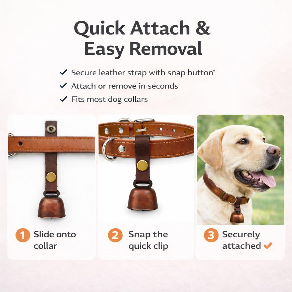 Collar cuero resistente al agua y a la corrosión para exterior