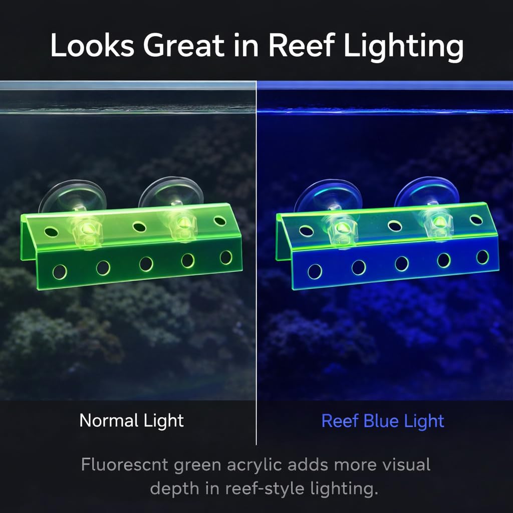 kcrygogo diseño moderno para portafragmentos de coral en acuario doméstico
