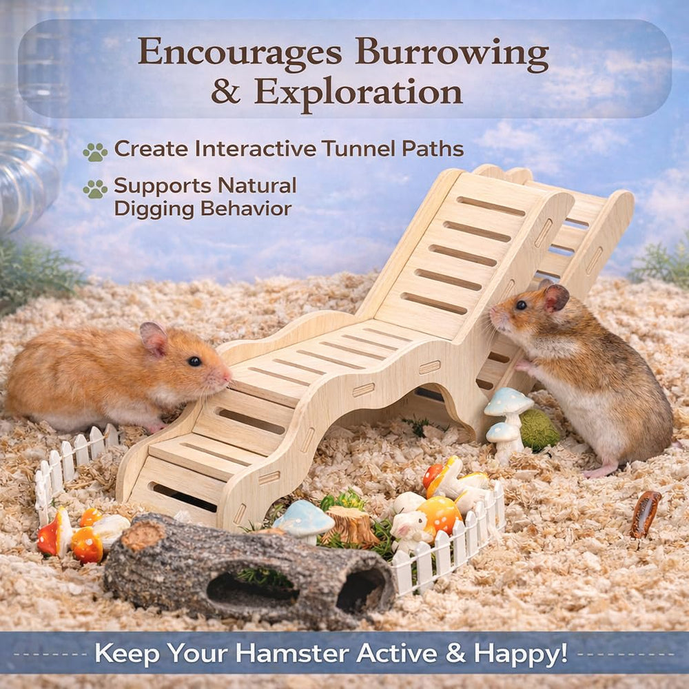Kcrygogo Hamster Explorer Set: escalera pequeña para trepar y explorar.