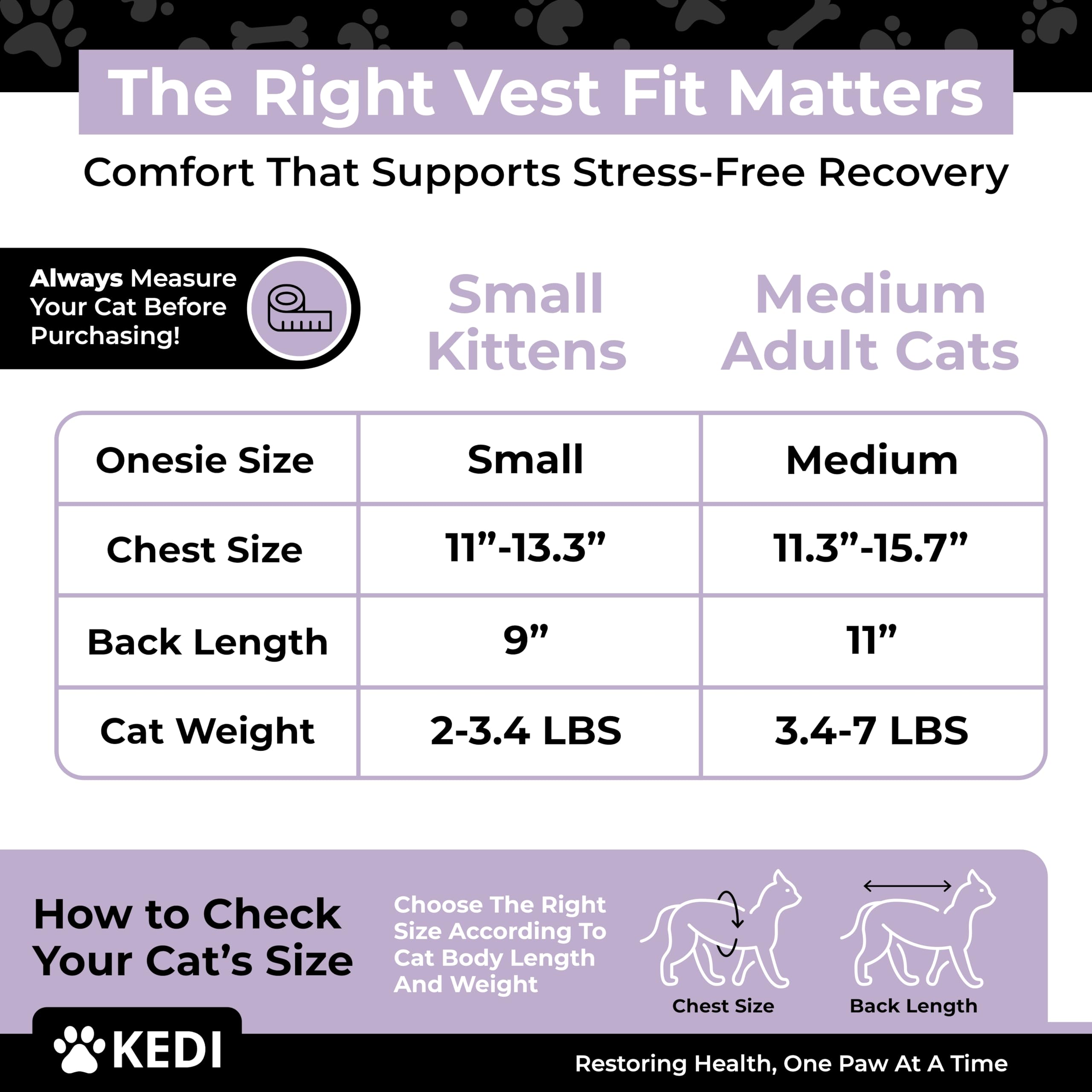 Kedi Cats Solutions cono de protección para gato, evita lamidos