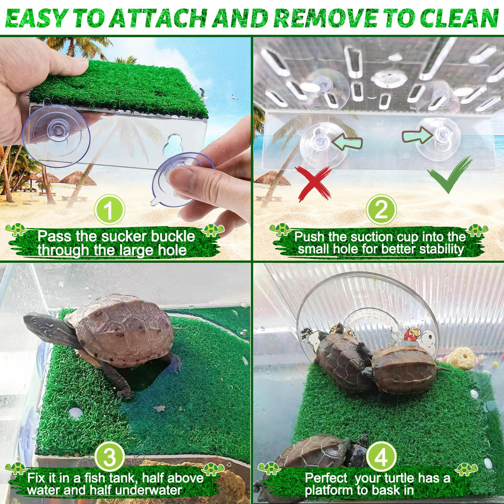 Keedolla tortuga: mejora estética del hábitat y limpieza fácil.