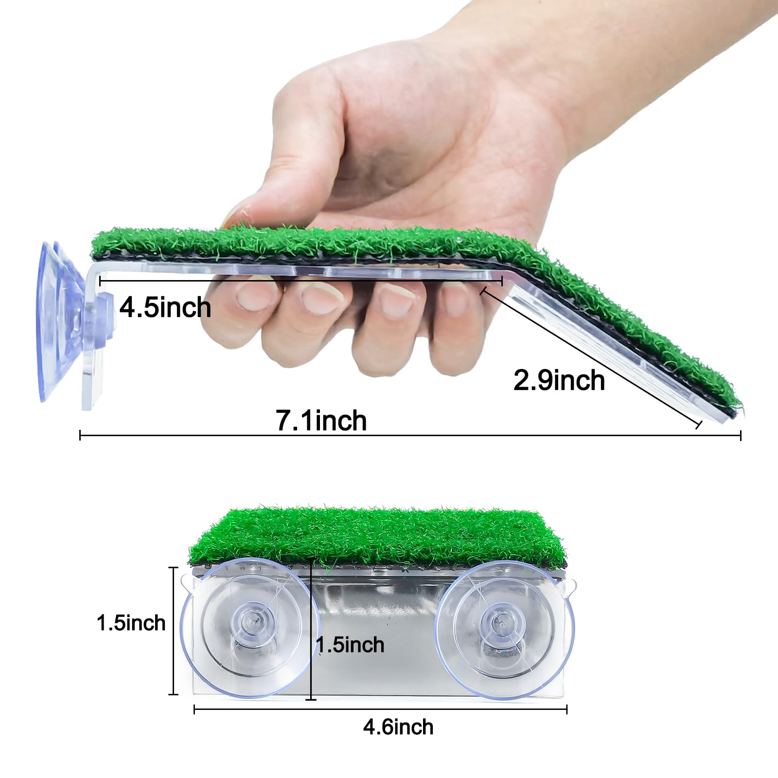Keedolla tortuga: rampa de césped artificial para subir fácilmente.