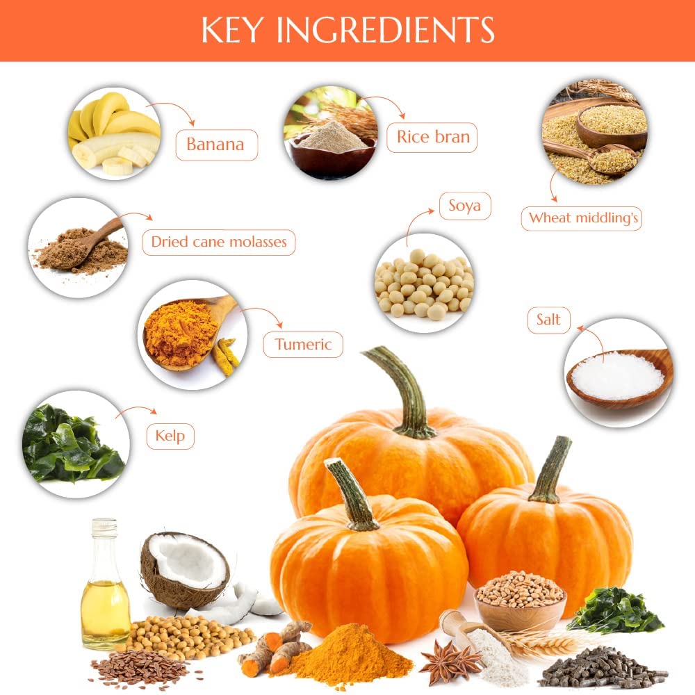 Kelcies Pumpkin Spice: sabor y beneficios de superalimentos para caballos.