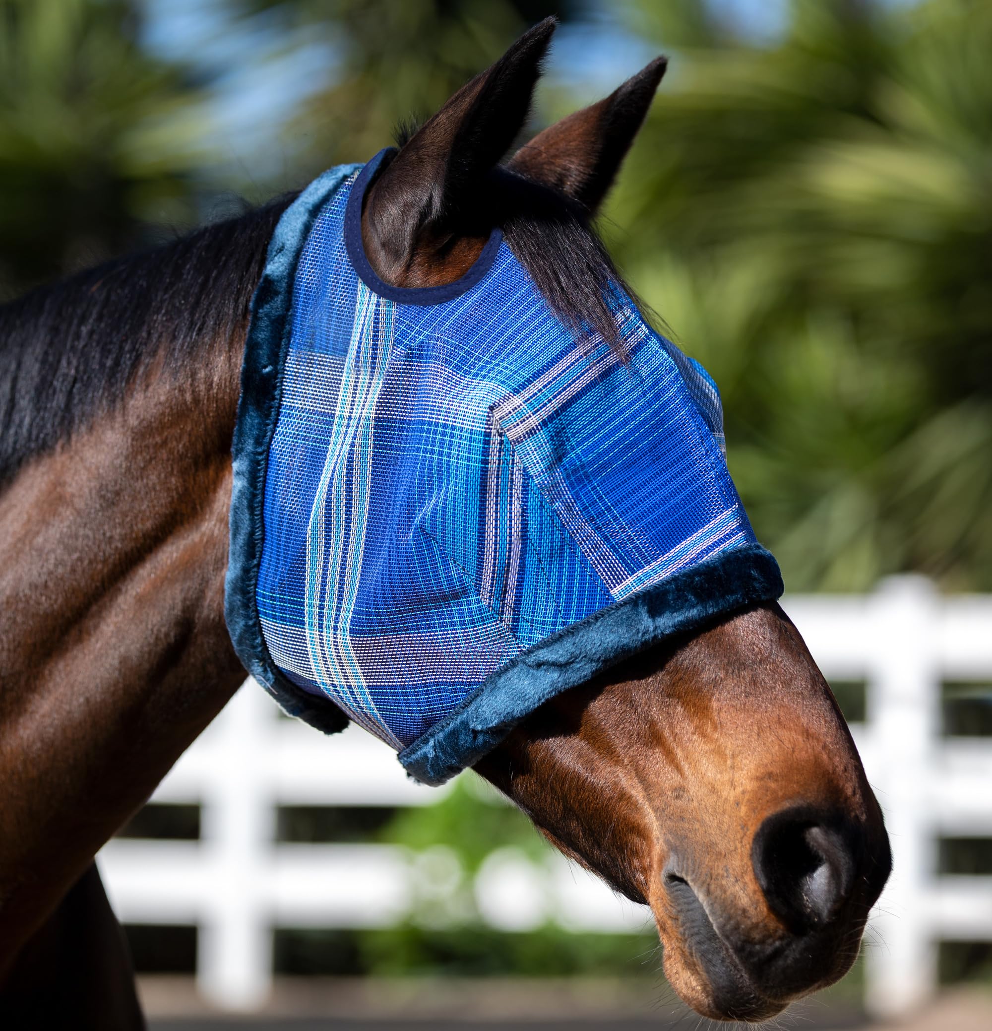 Kensington protección UV para caballos - Aberturas de orejas dual mantienen ajuste estable.