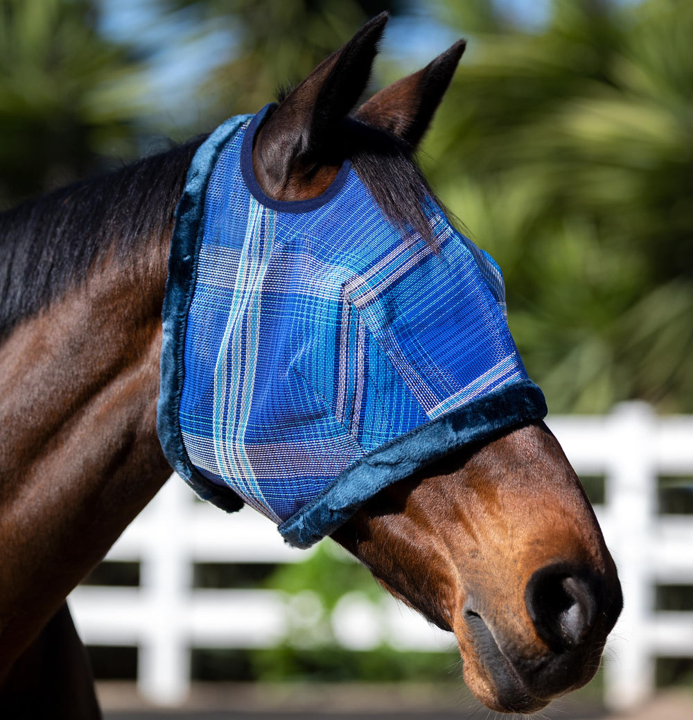 Kensington protección UV para caballos - Aberturas de orejas dual mantienen ajuste estable.