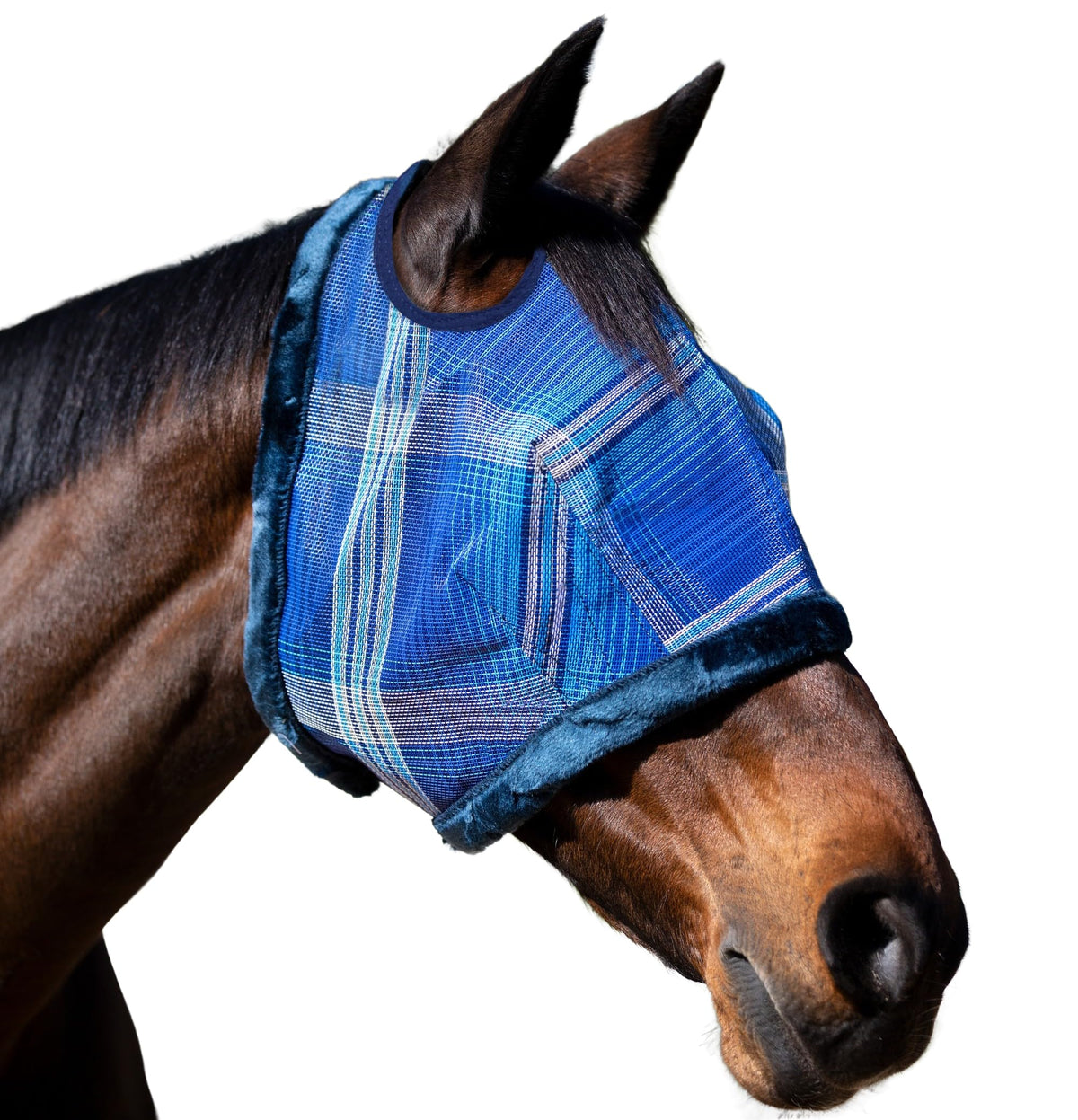 Kensington protección UV para caballos - Frontal ofrece protección ocular y comodidad.