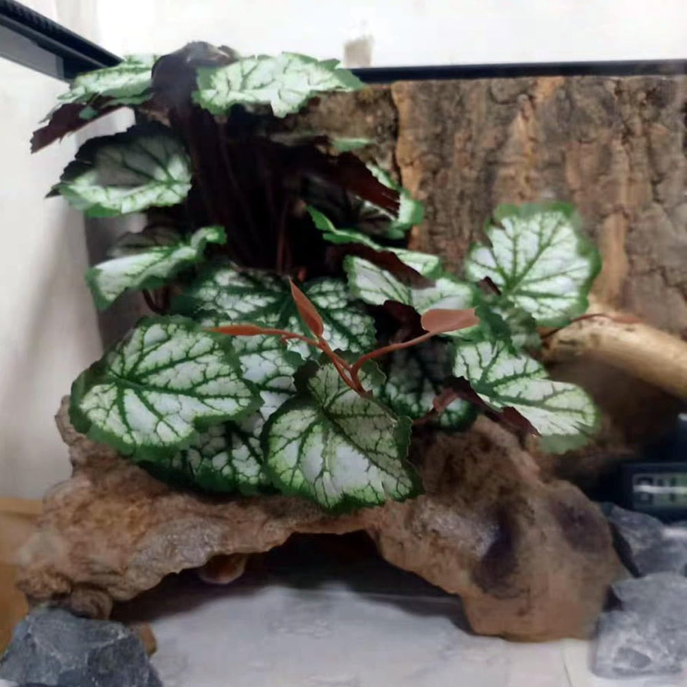 KERUIDENG Plantas Reptiles - decoración atractiva y funcional del terrario.