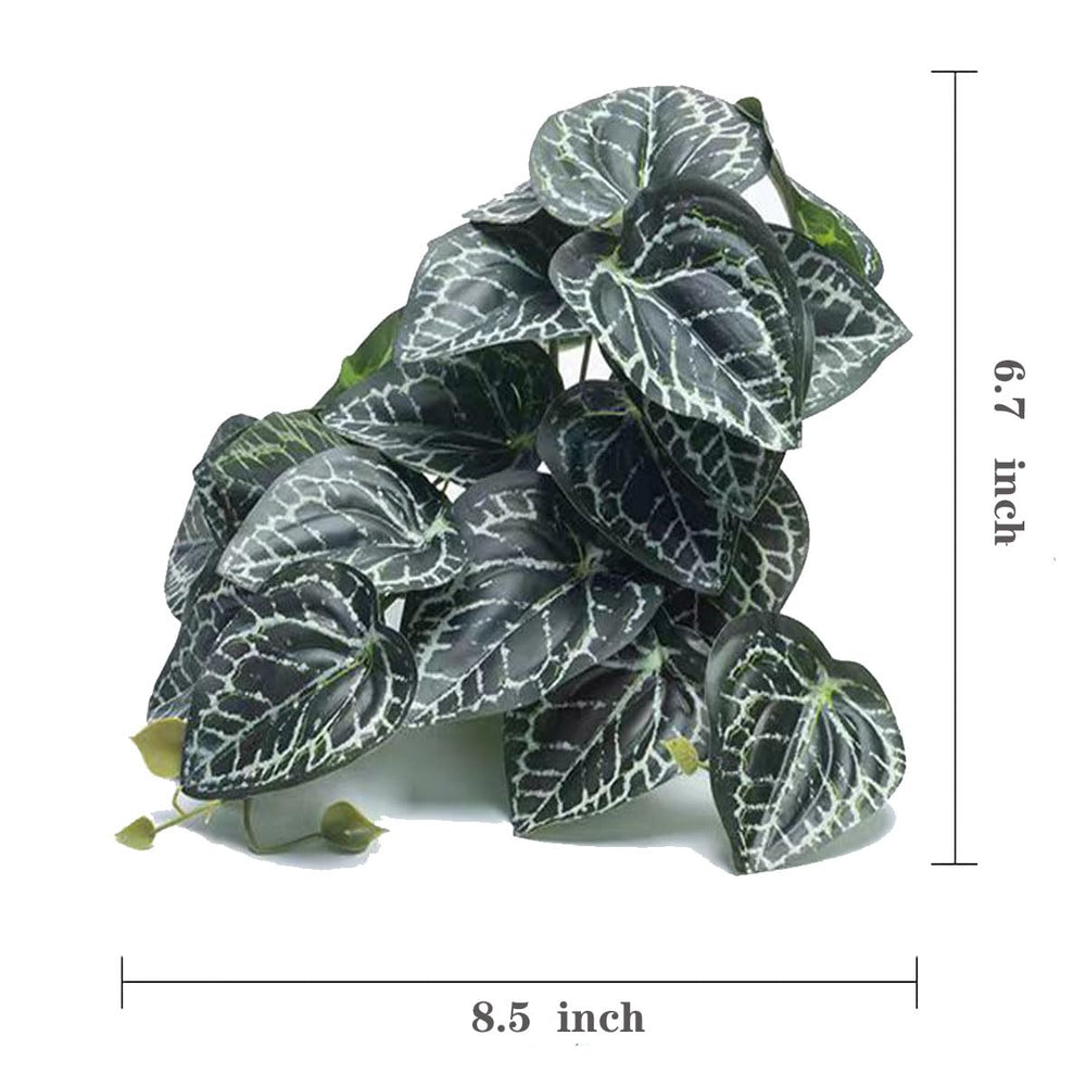 KERUIDENG planta para terrario, Anthurium Crystallinum, refugio visual para sensación de seguridad.