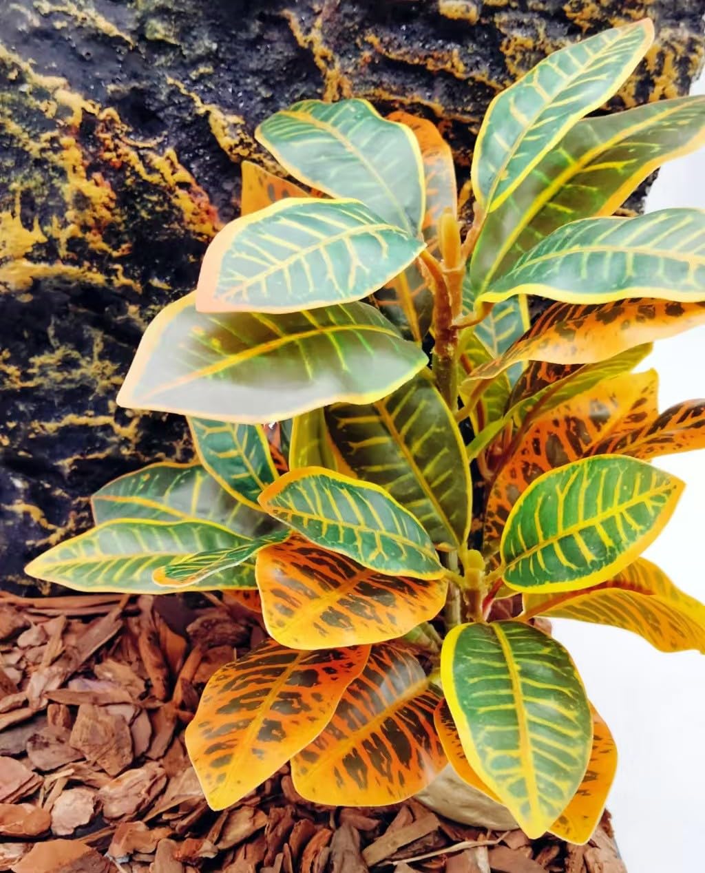 KERUIDENG plantas para terrario, colores y texturas naturales para un hábitat verosímil.