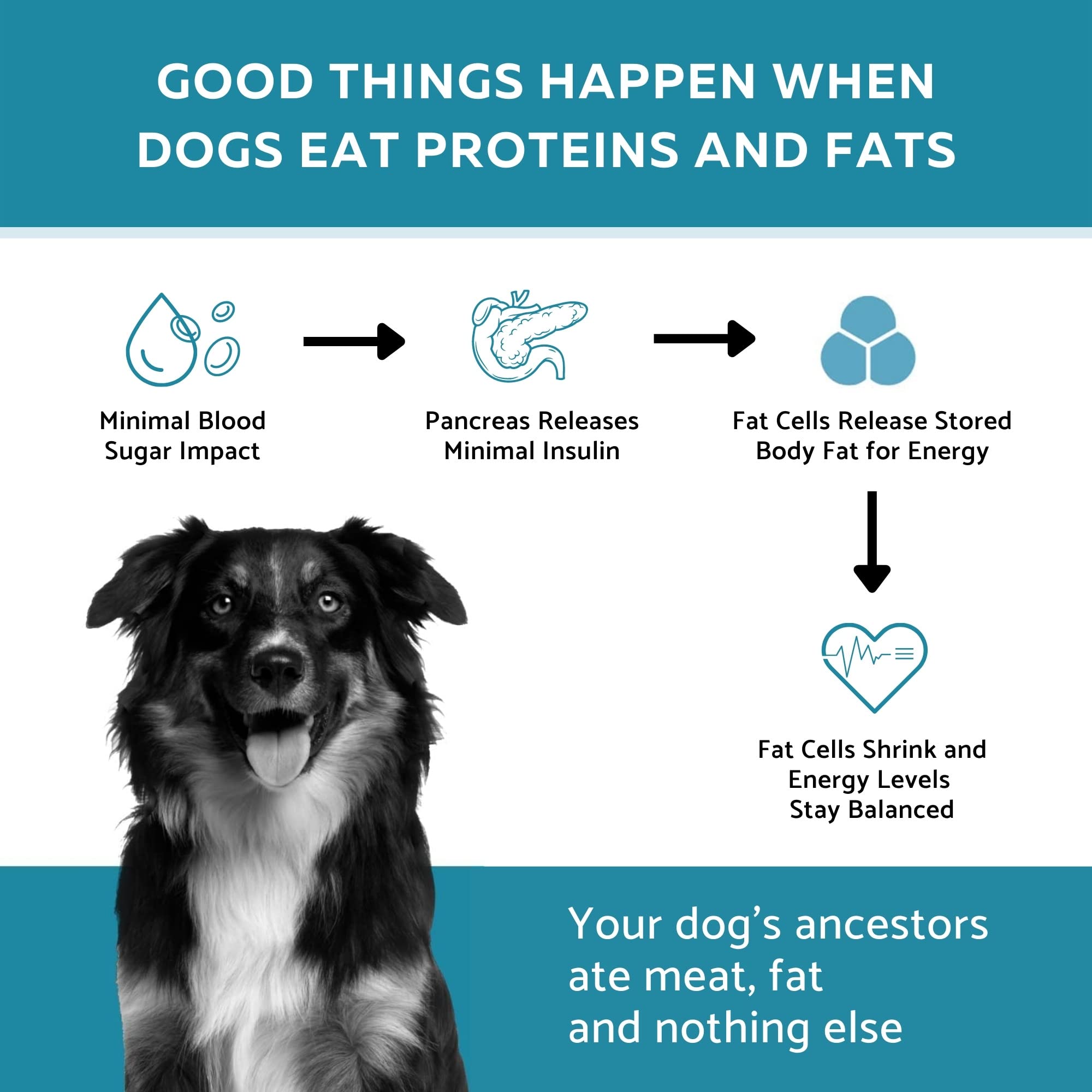 Ketona dieta natural sin granos para perros con gusto al salmón.