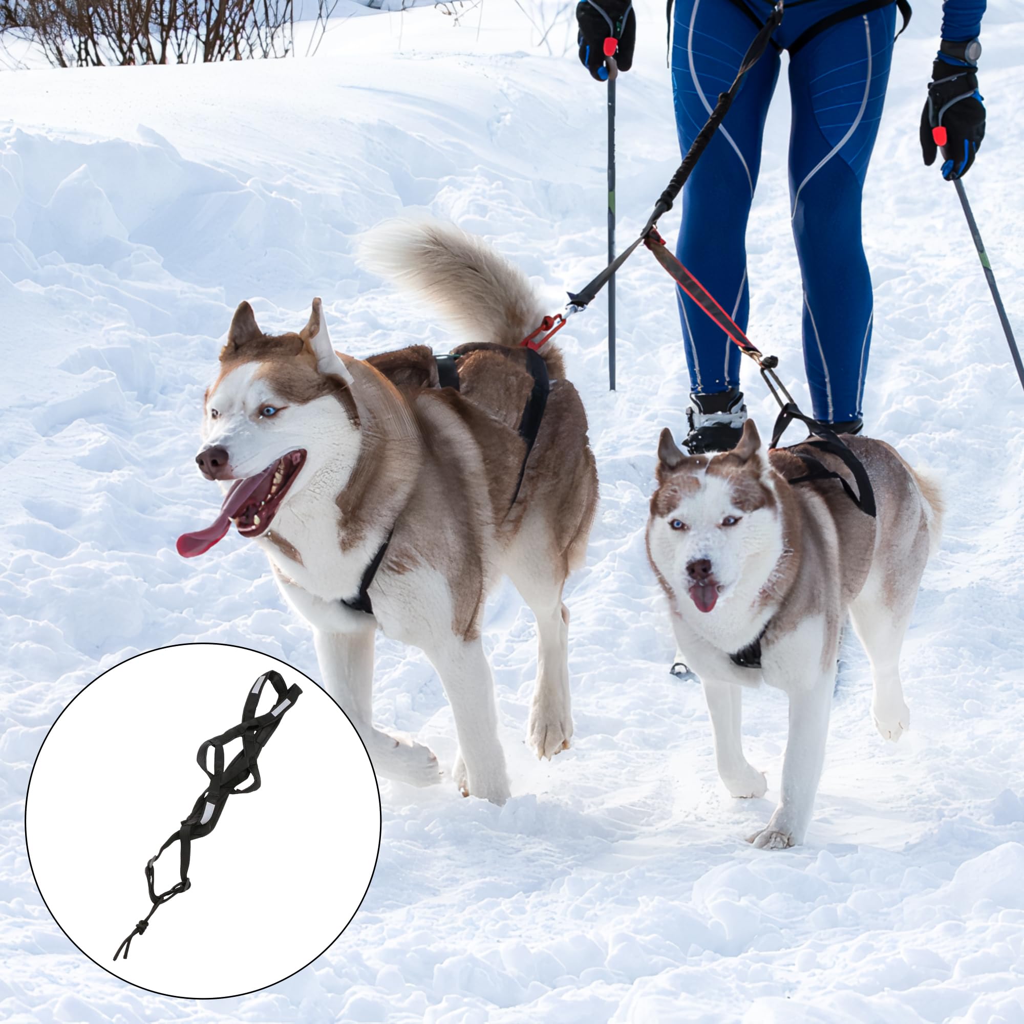 KH866 arnés de nylon acolchado, excelente confort para perros activos