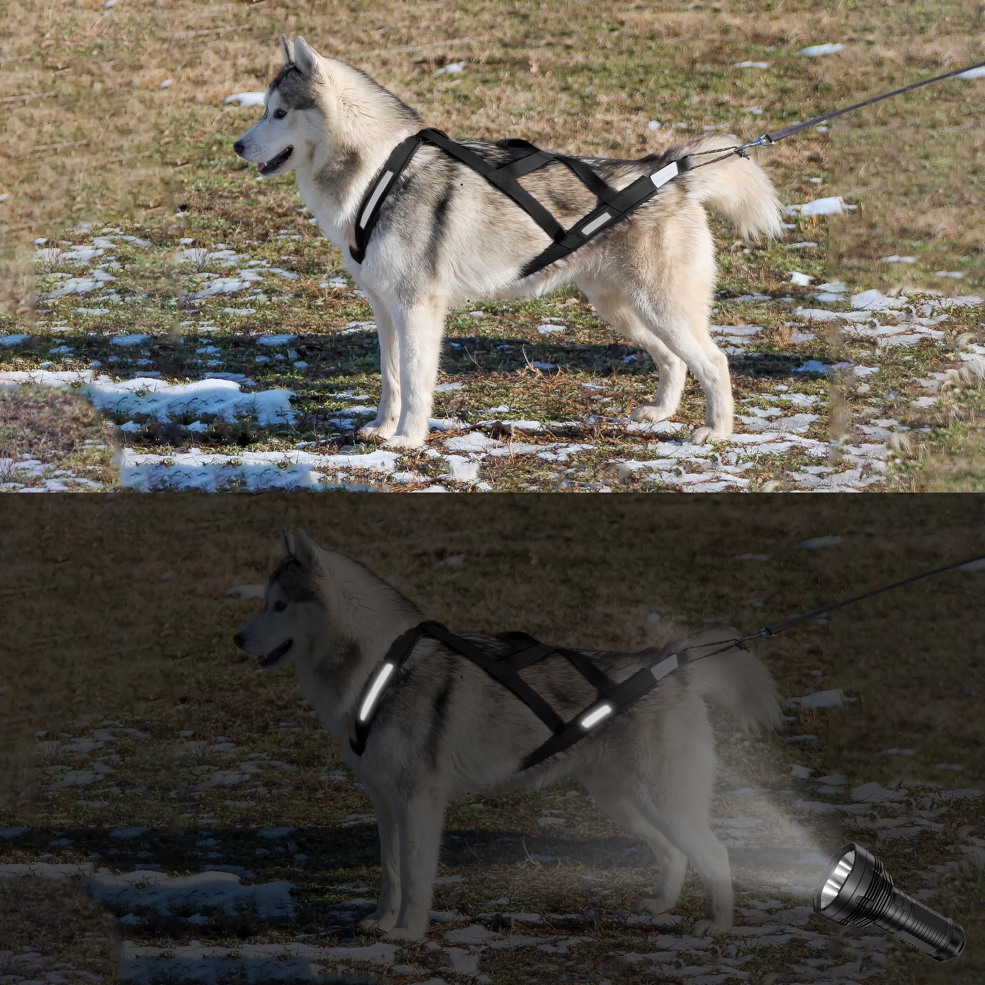 KH866 arnés reflectante para perros pequeños, perfecto para paseos nocturnos