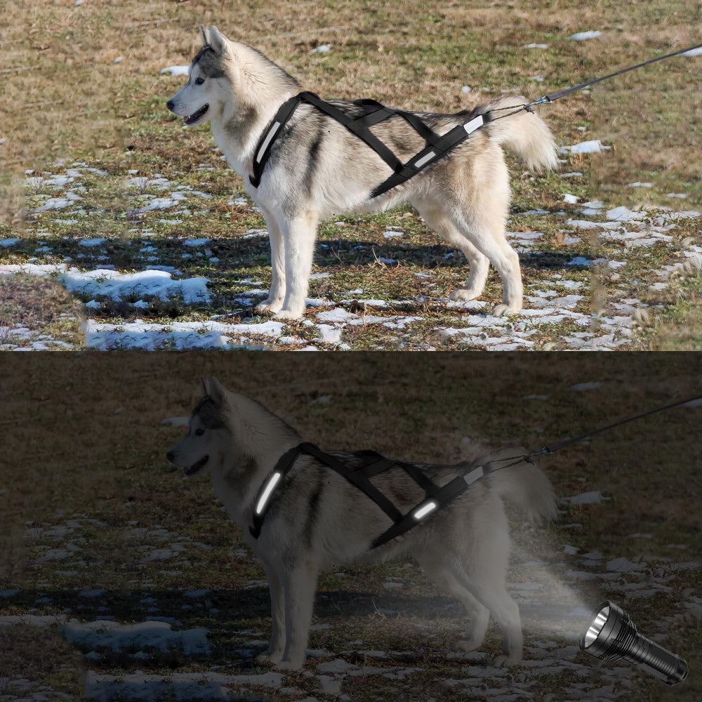 KH866 arnés reflectante para perros pequeños, perfecto para paseos nocturnos