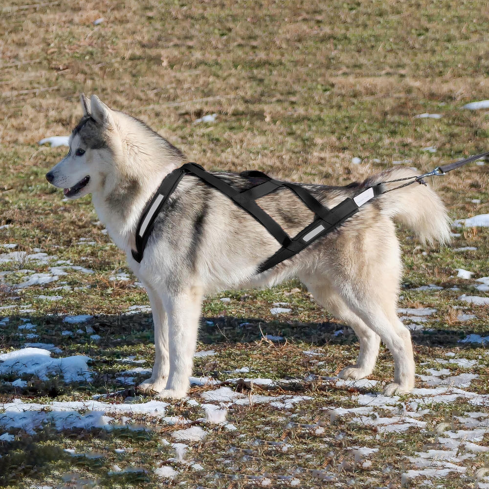 KH866 arnés XL para Bulldog Francés, ajuste cómodo y seguro