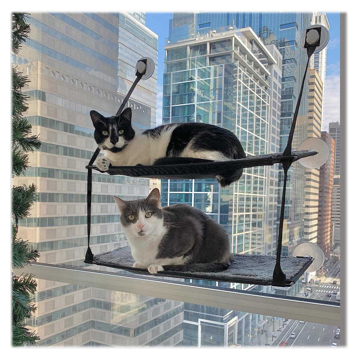 K&H EZ Mount Doble Pila Silla Ventana Gato 1: descanso soleado y seguro.