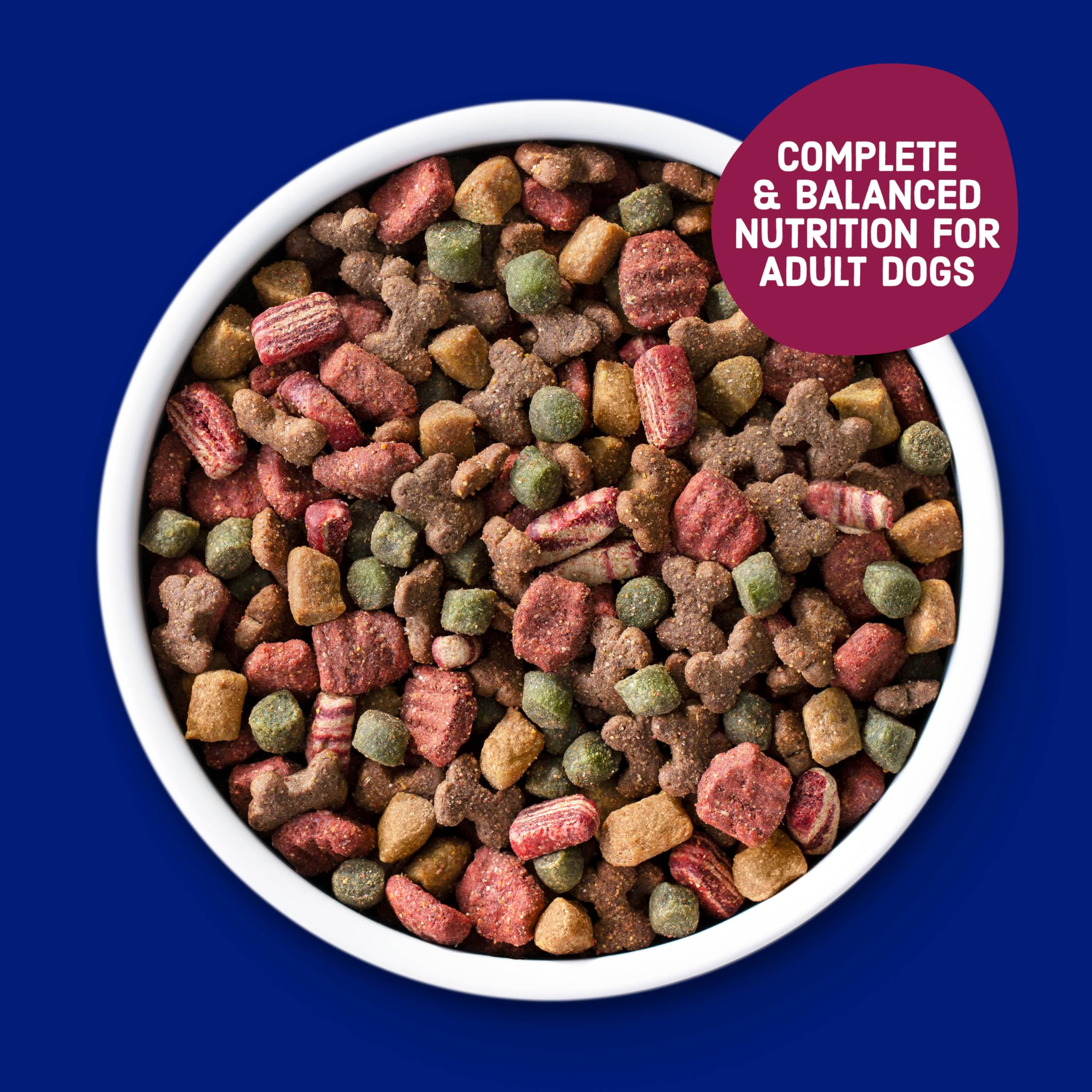 Kibbles n Bits trozos carne bistec, comida atractiva para comer con gusto.