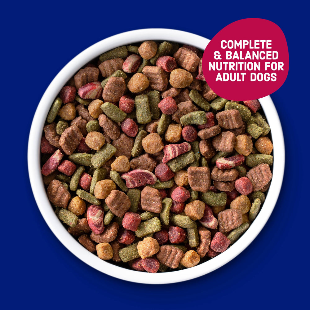 Kibbles 'n Bits Bistro para perros adultos de varios tamaños