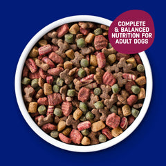 Kibbles 'n Bits crunchy-kibbles-texture image showing satisfying crunch