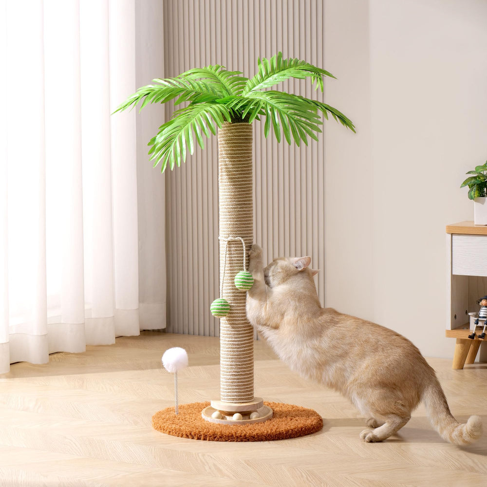 Kicari combinación rasca y escalada para interiores sin ocupar mucho espacio