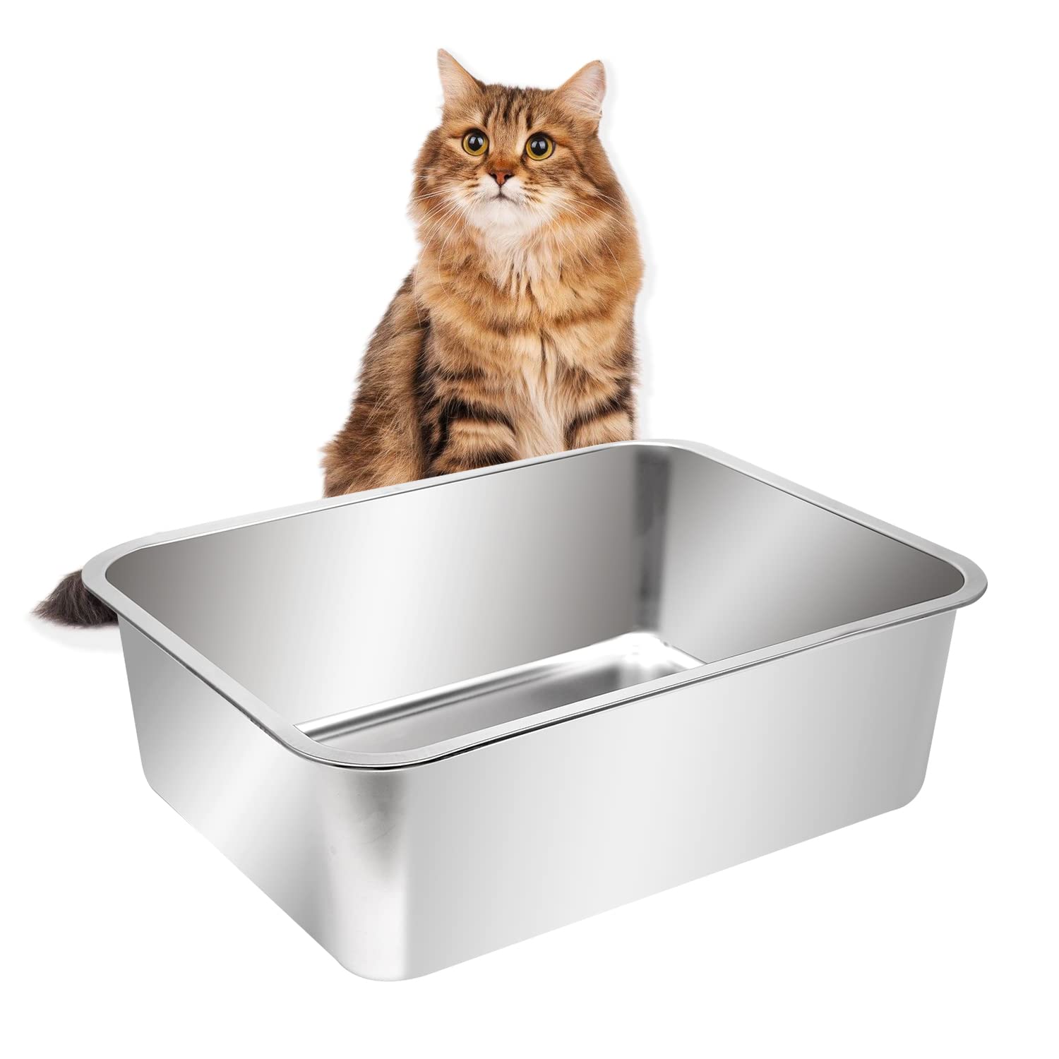 Bandeja Kichwit abierta para gatos en acero inoxidable, limpieza práctica