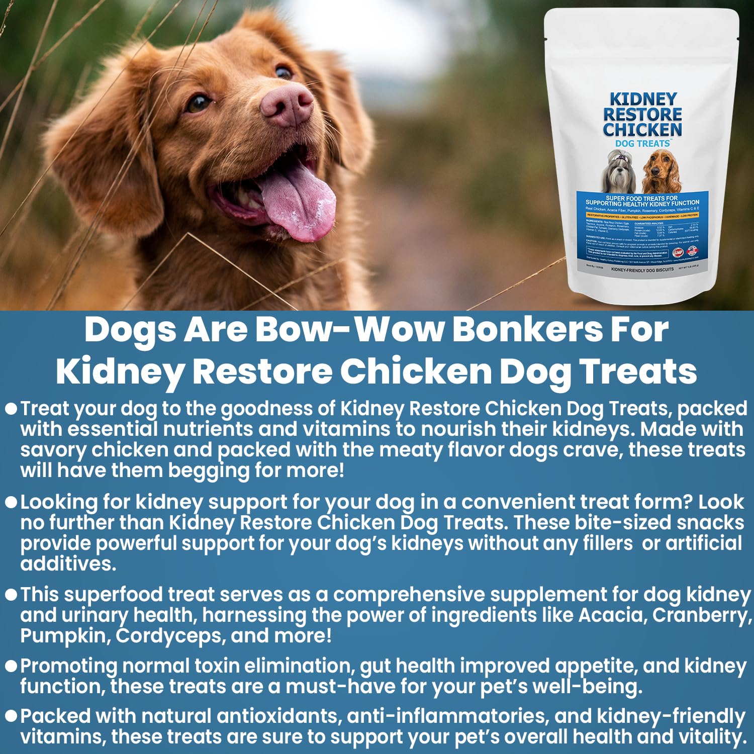 Kidney Restore golosinas renal para perro, sabor agradable y apoyo renal.