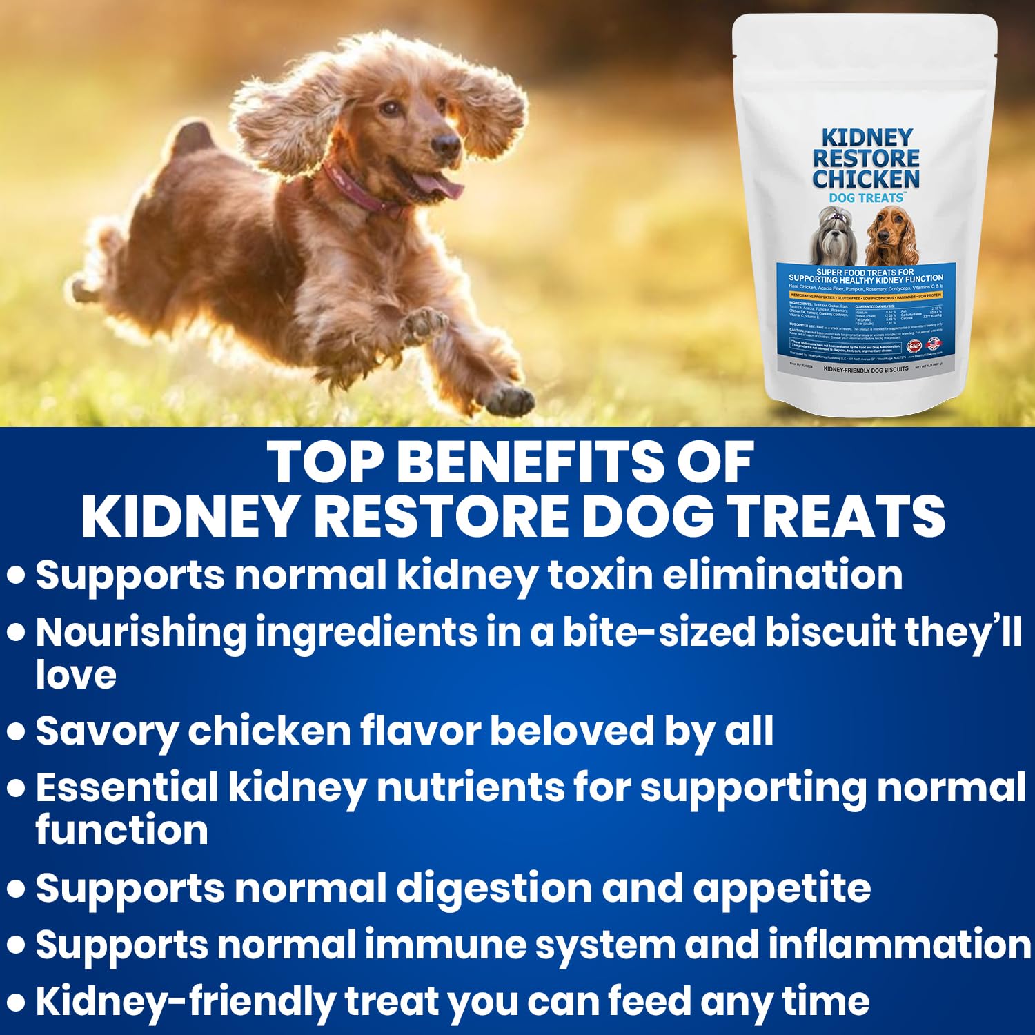 Kidney Restore kit dieta rinon para perro, guia nutricional incluida.