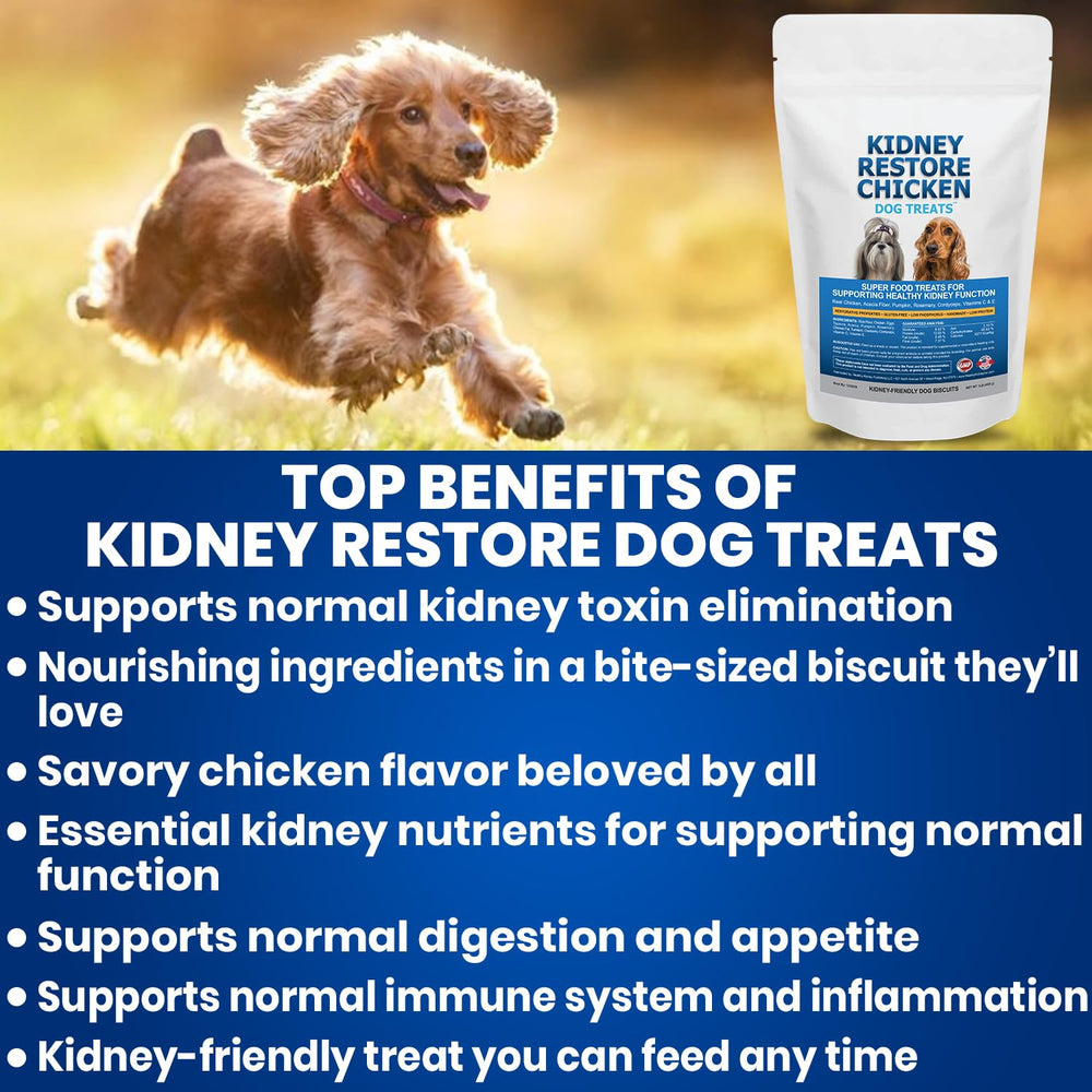 Kidney Restore kit dieta rinon para perro, guia nutricional incluida.