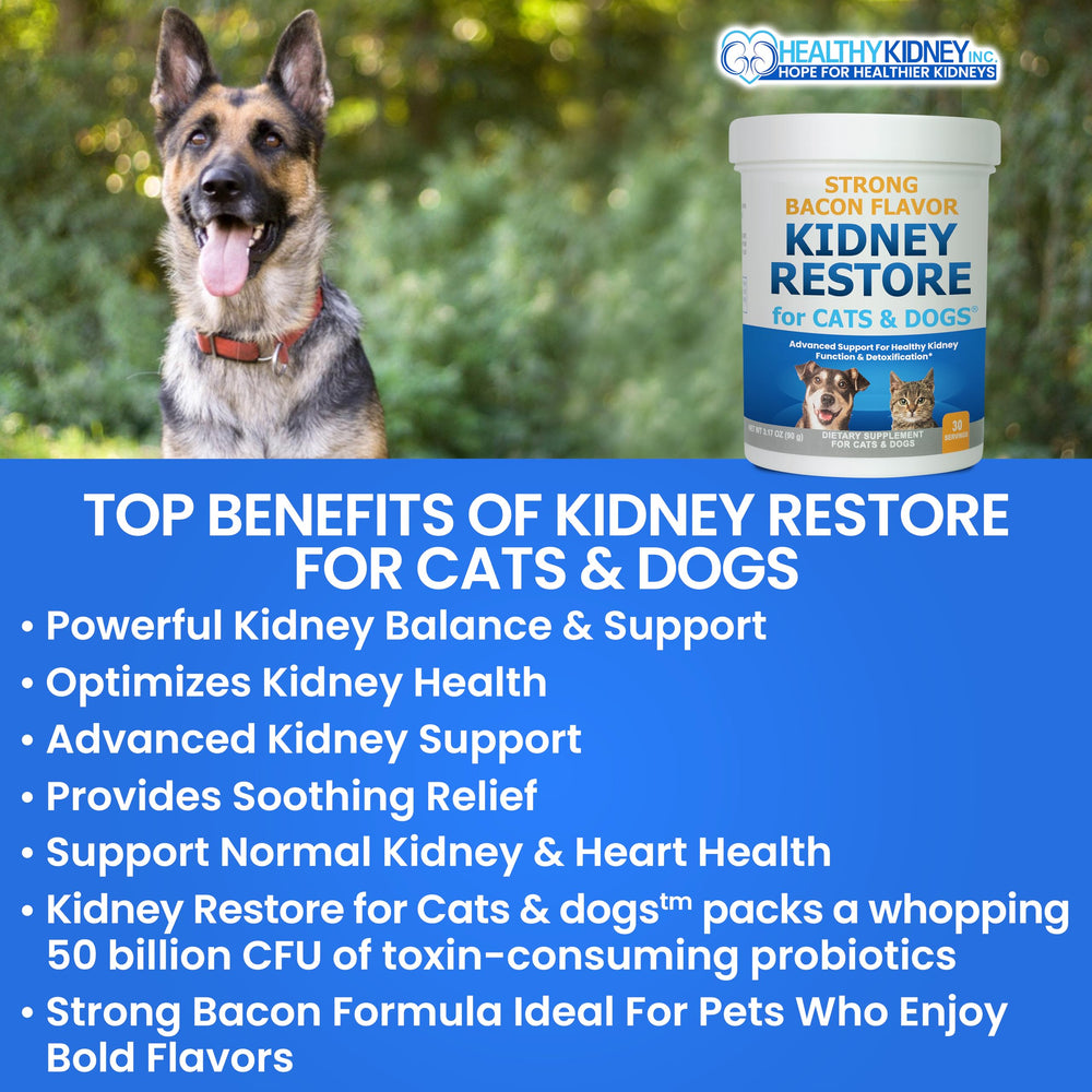 Kidney Restore: probióticos-acción promueven eliminación de toxinas desde el intestino