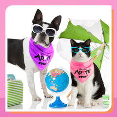 Bandanas Kigeli para mascotas, colores vivos para combinar atuendos.