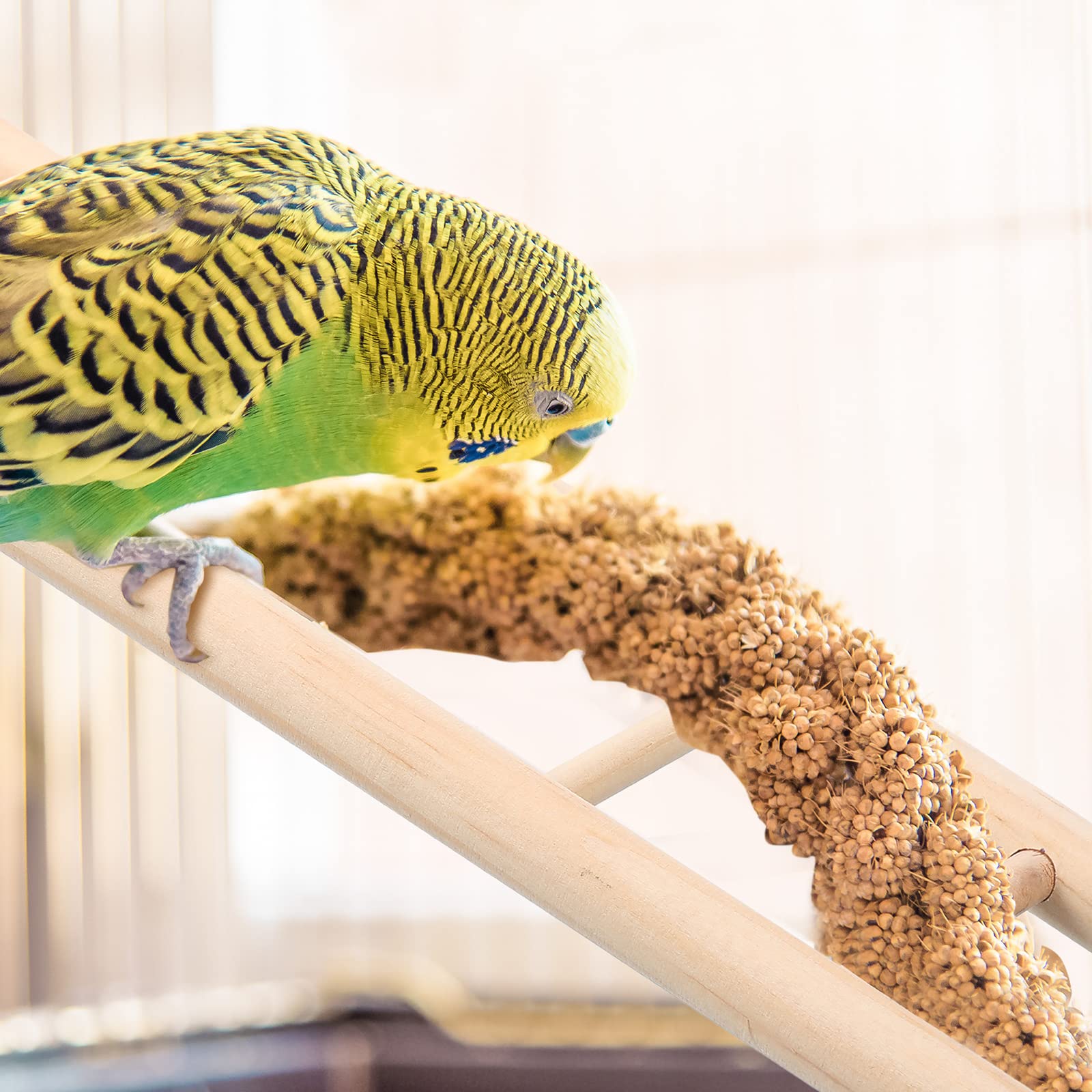 Kigeli escalera de madera para aves, fácil de limpiar.