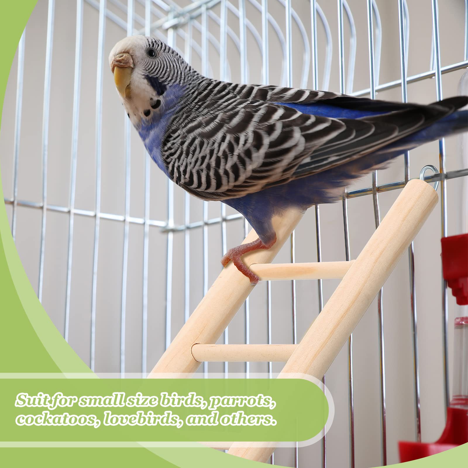 Kigeli escalera de madera para aves, regalo práctico para dueños de aves.