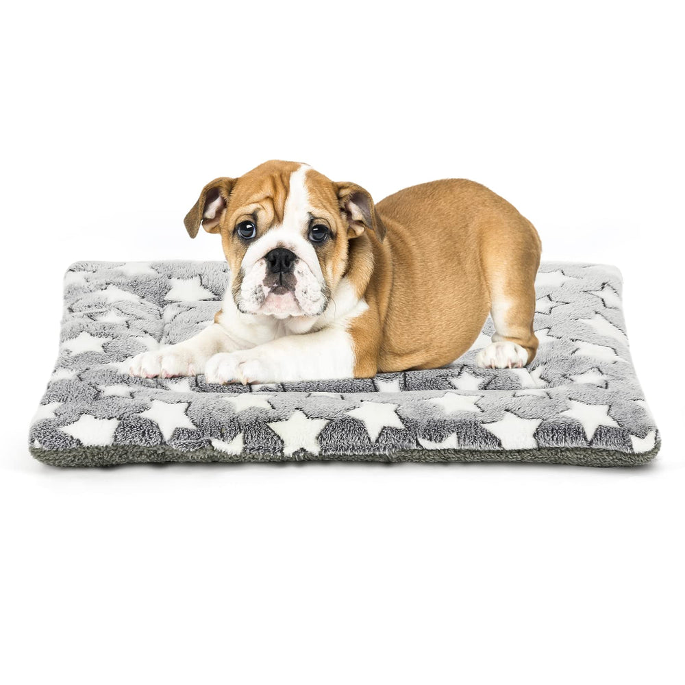 Kigmmro cama para perros dentro de una jaula de 24 pulgadas, versión reversible para mayor comodidad.