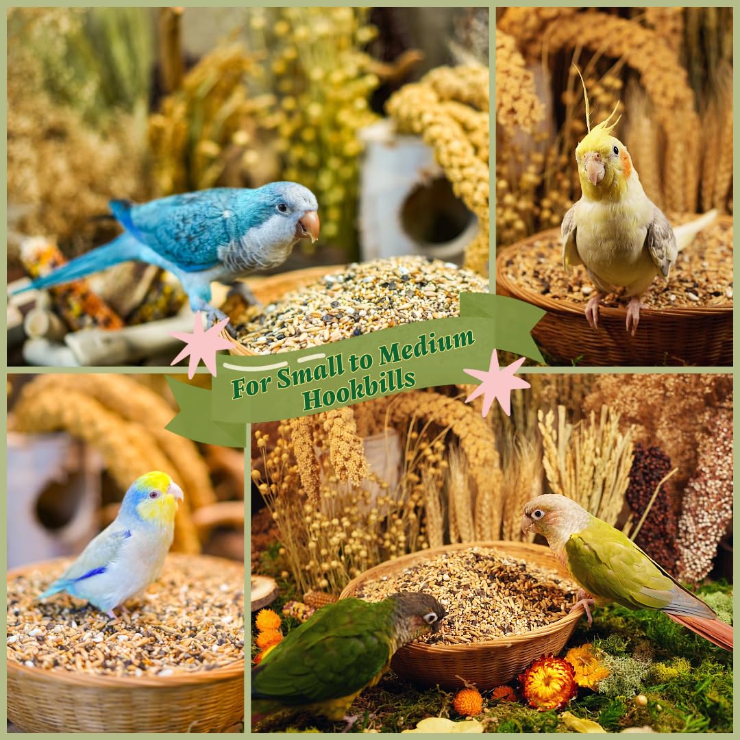 KikiBirds Fomenta el forraje natural y la estimulación mental.