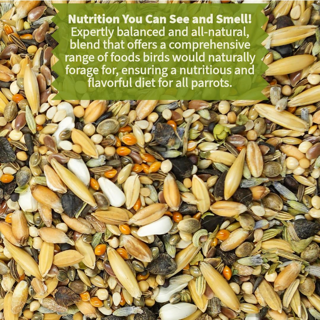 KikiBirds Alimento para Loros: mezcla de semillas y granos enteros.