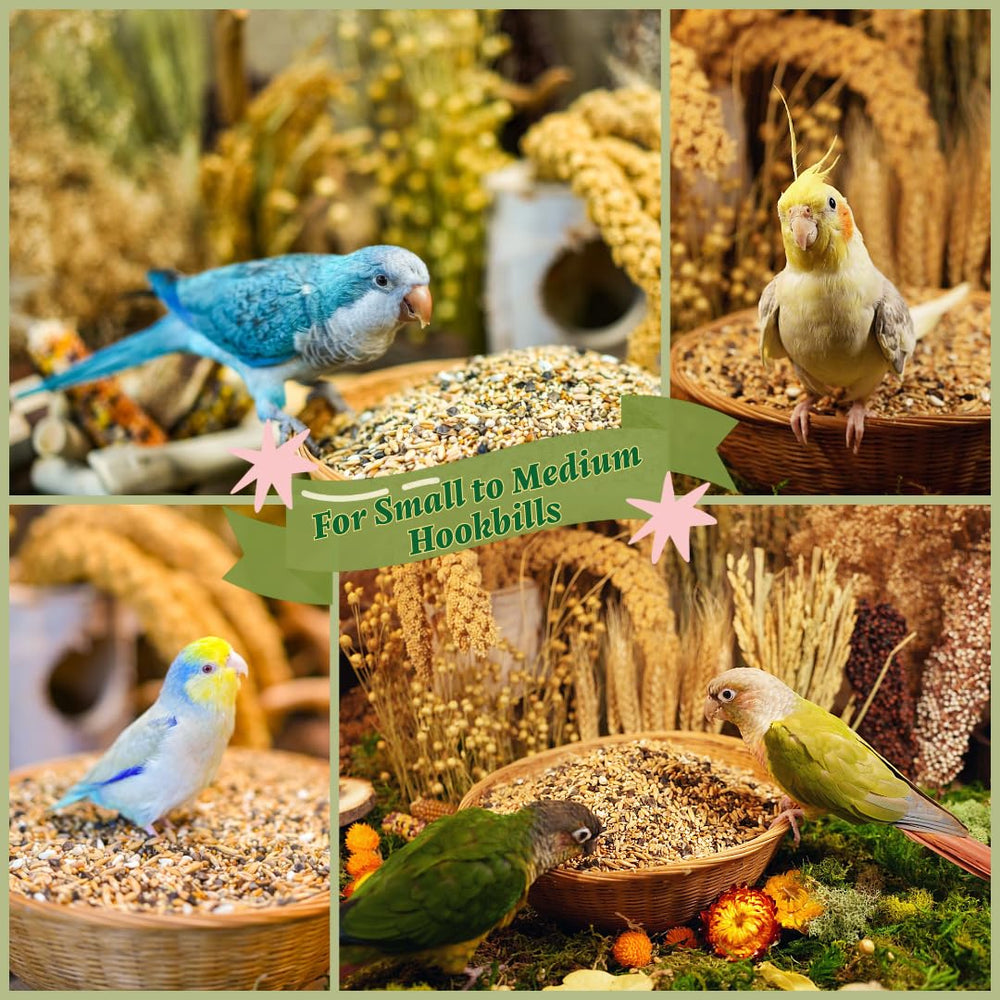 KikiBirds Premium Parrot Food proudly made in Washington.