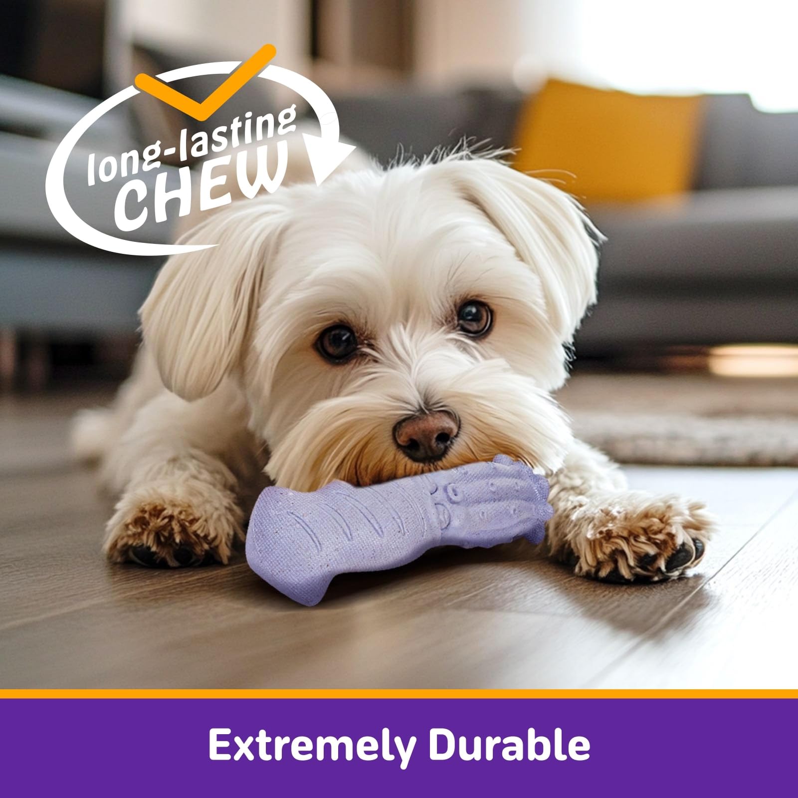 Juguete Kimee regalo para festival: entretenimiento duradero para perros.