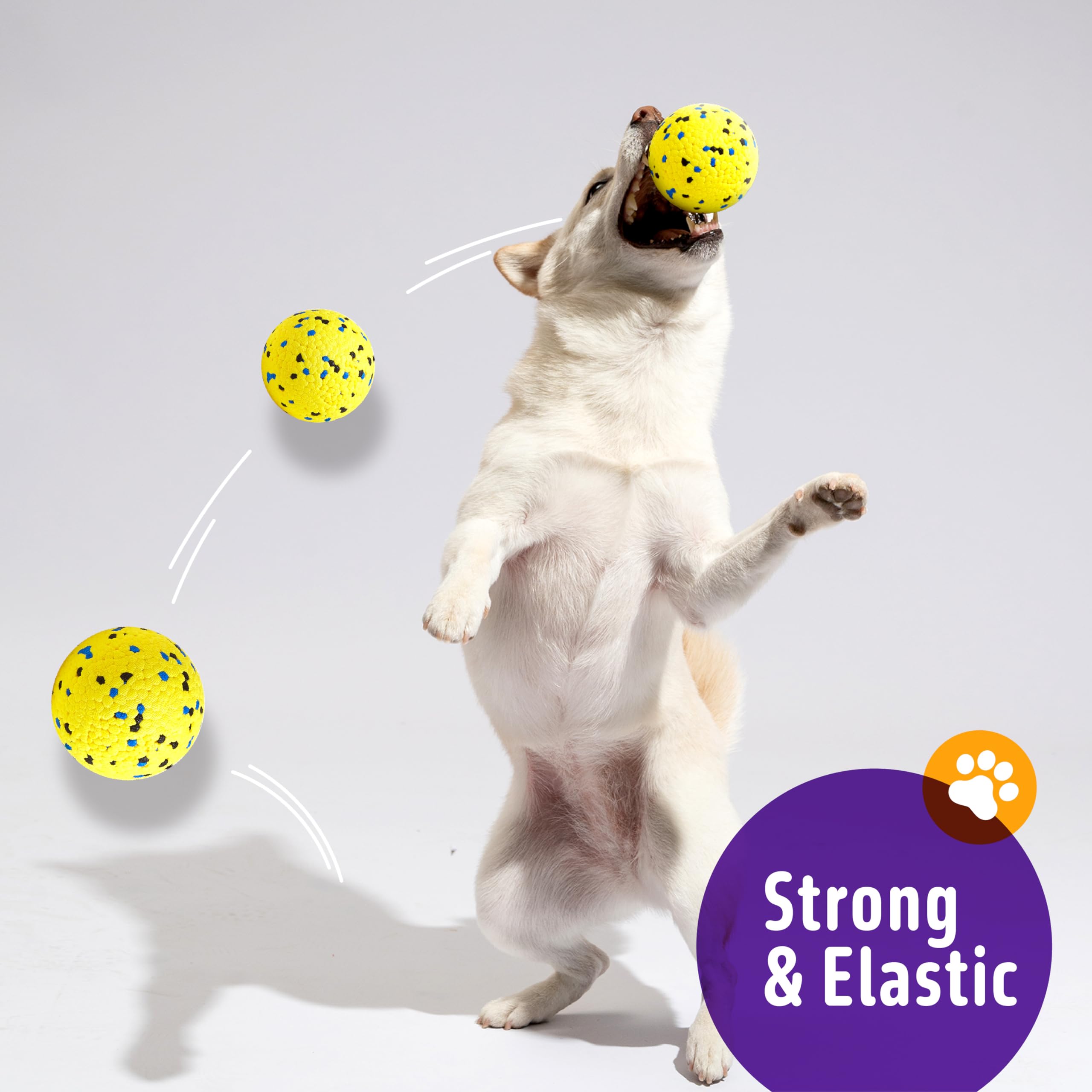 Juguete de tracción interactivo Kimee para perros activos.