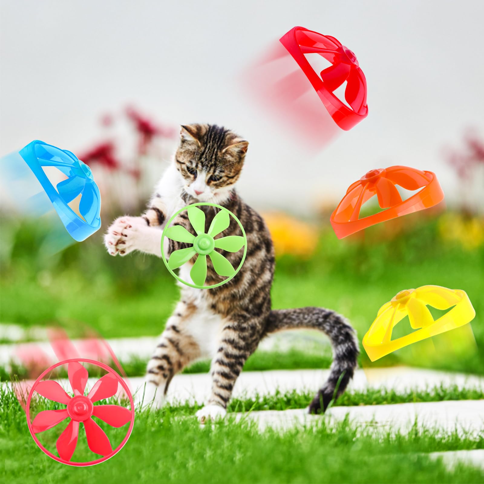Conjunto interactivo KIMOBER para entrenamiento y diversión de tu gato.