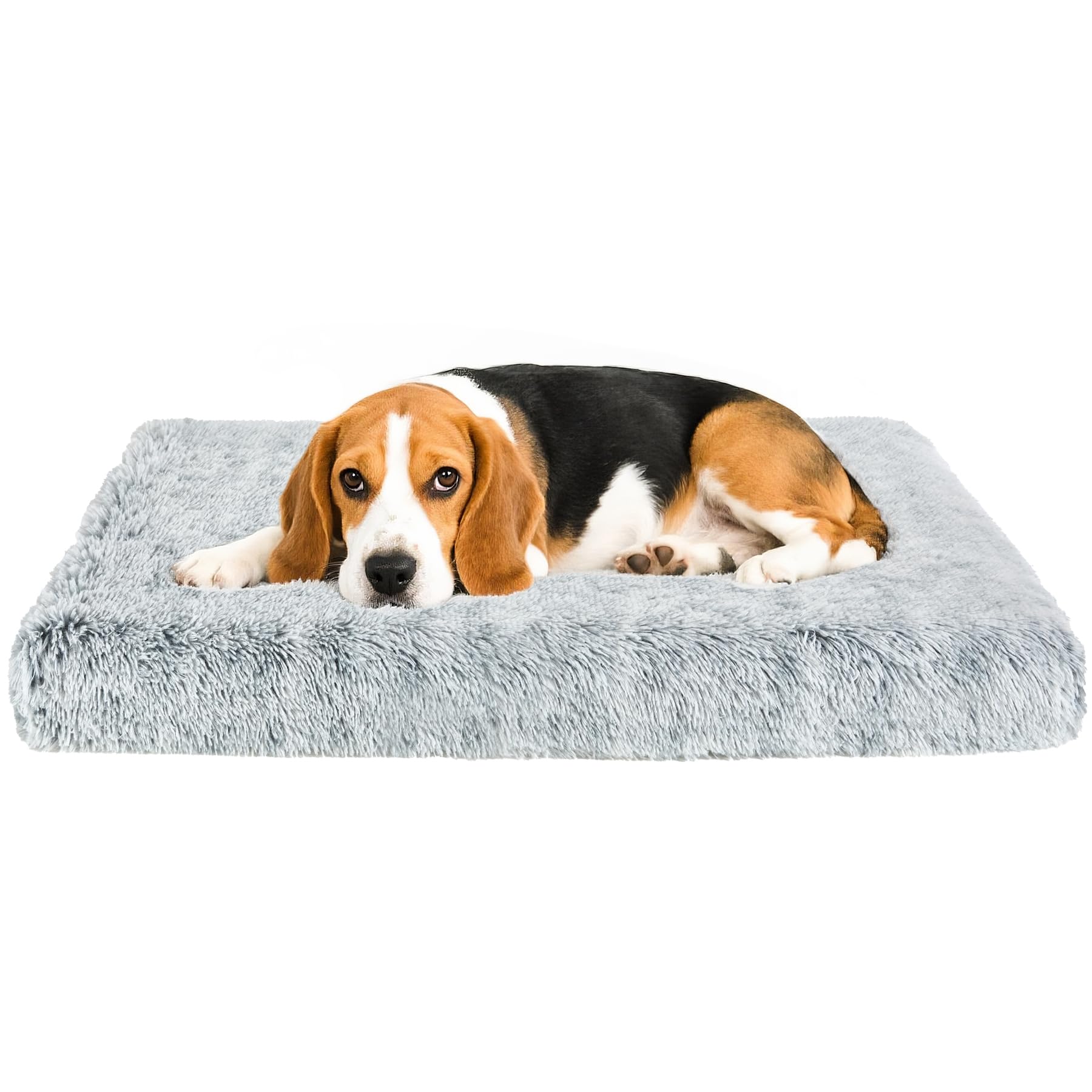 Cama ortopédica Kimpets para perro mediano con espuma de apoyo.