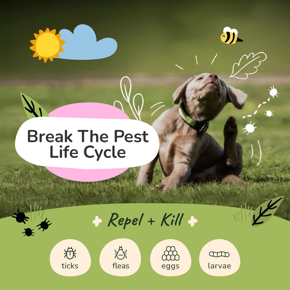 Kin-kind spray para perros con lavanda para repeler pulgas entre baños