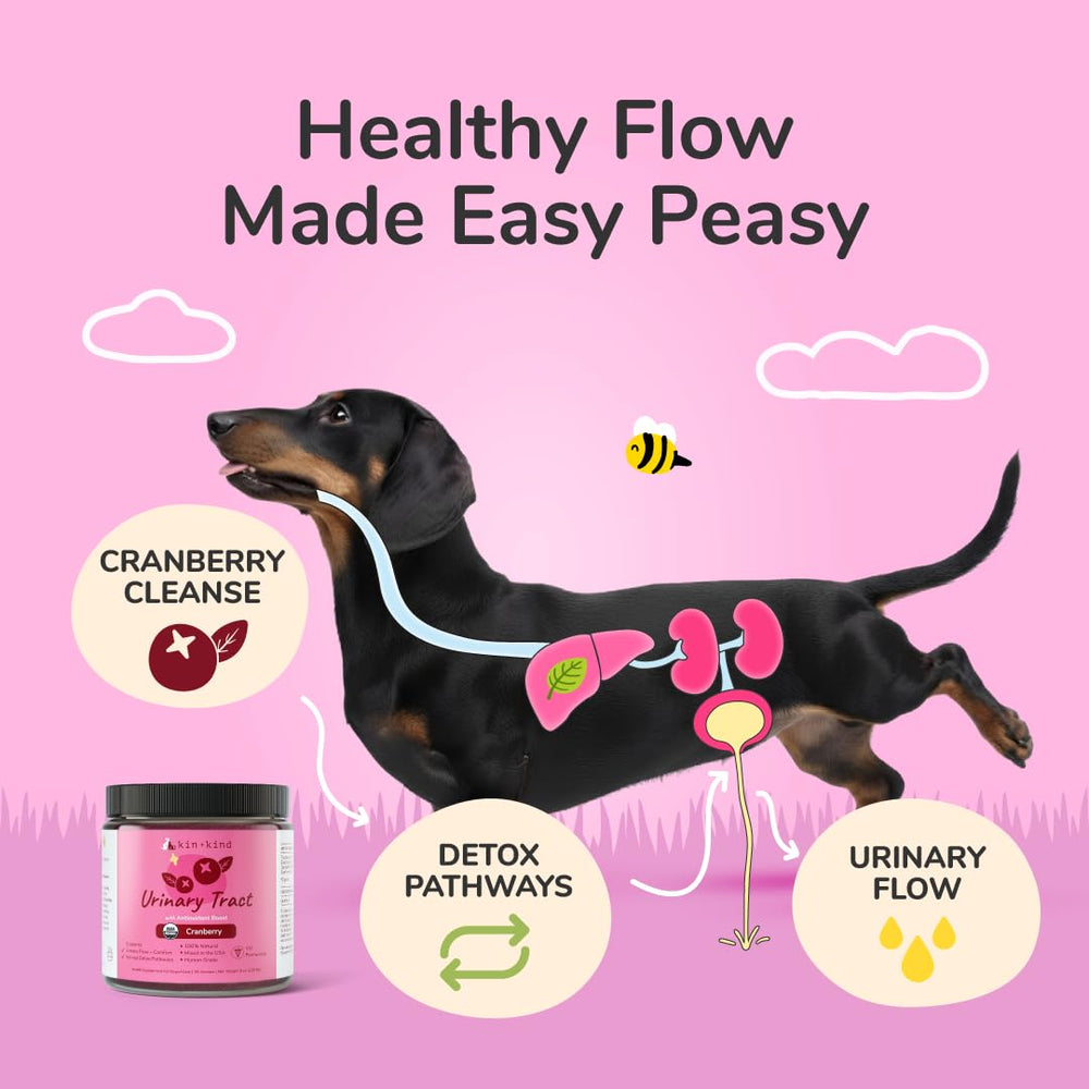 kin-kind suplementos mascotas etiqueta: calidad y origen orgánico