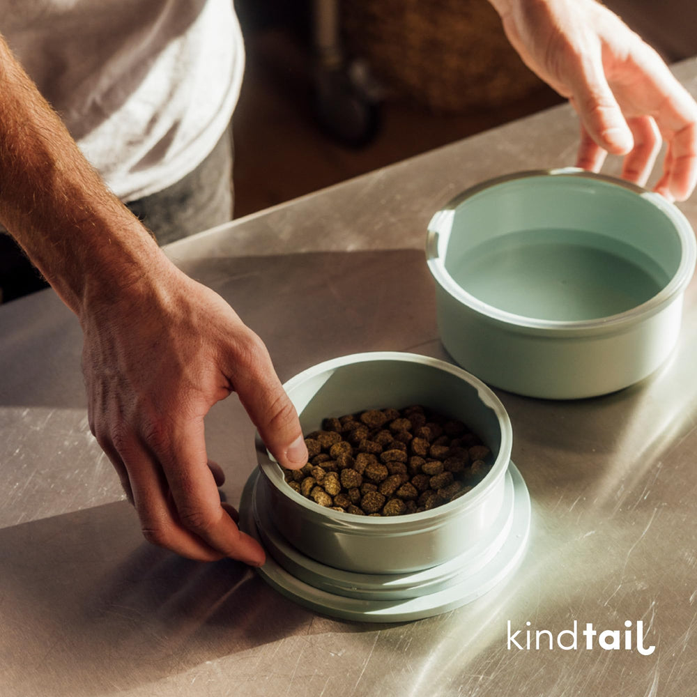KindTail apto para microondas y lavavajillas, limpieza rápida y sencilla